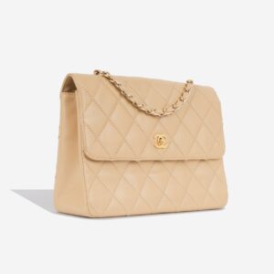 Chanel Wild Stitch Flap Bag
